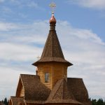 Бітумна черепиця TEGOLA Master - дерево - Зображення 5