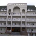 Бітумна черепиця TEGOLA Mosaic - Північна хвоя - Зображення 4